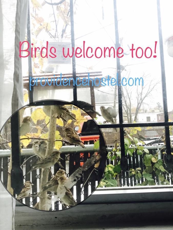 Providence Hostel & Guest House Екстер'єр фото
